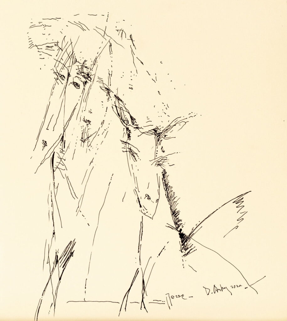 Pegasus, 2020, ink, paper, 28x25.2